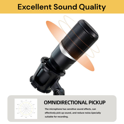 Condenser Microphone