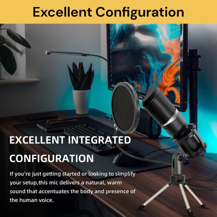 Condenser Microphone