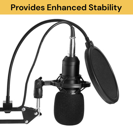 Professional Condenser Microphone Set