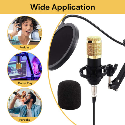 Professional Condenser Microphone Set