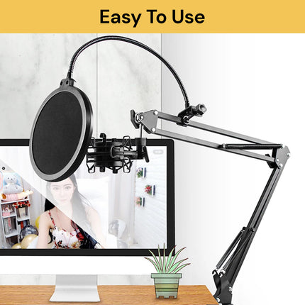 Professional Microphone Stand