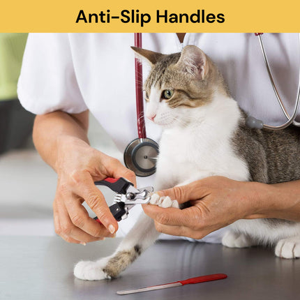 BUY Dog Nail Clipper With Nail File GET Triple Head Pet Toothbrush FREE