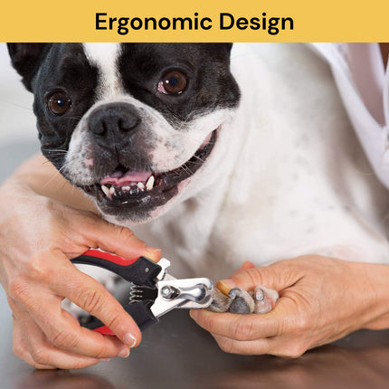 BUY Dog Nail Clipper With Nail File GET Triple Head Pet Toothbrush FREE