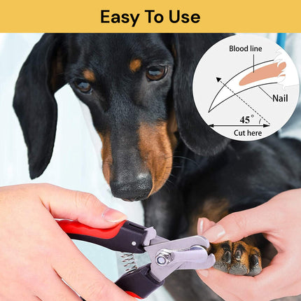 BUY Dog Nail Clipper With Nail File GET Triple Head Pet Toothbrush FREE