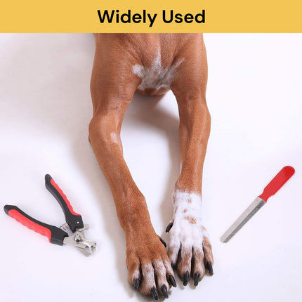 BUY Dog Nail Clipper With Nail File GET Triple Head Pet Toothbrush FREE