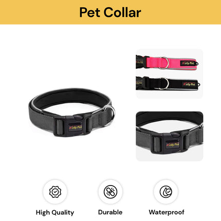 Pet Collar
