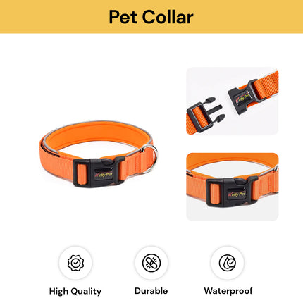Pet Collar