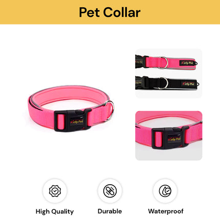 Pet Collar