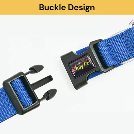 Buy Pet Collar Get Pet Laser Pointer Mini Keychain Free