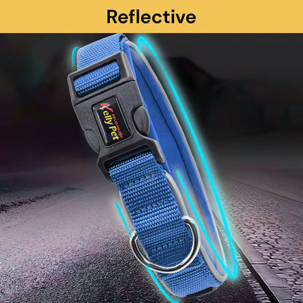 Buy Pet Collar Get Pet Laser Pointer Mini Keychain Free