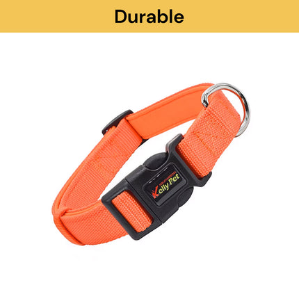 Buy Pet Collar Get Pet Laser Pointer Mini Keychain Free