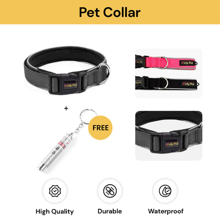 Buy Pet Collar Get Pet Laser Pointer Mini Keychain Free