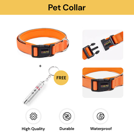 Buy Pet Collar Get Pet Laser Pointer Mini Keychain Free