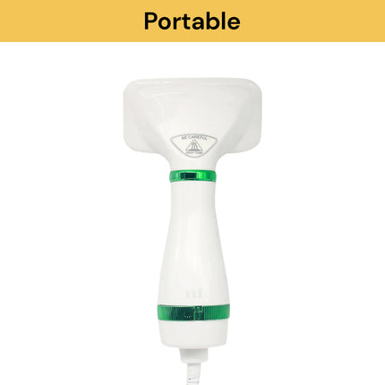 2 In 1 Portable Pet Hair Dryer