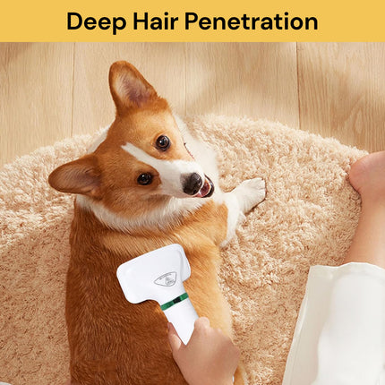 2 In 1 Portable Pet Hair Dryer