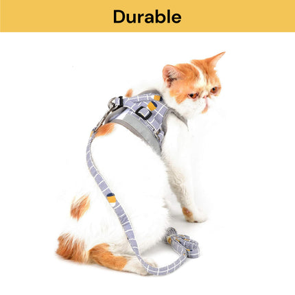 Pet Harness Vest And Leash Set