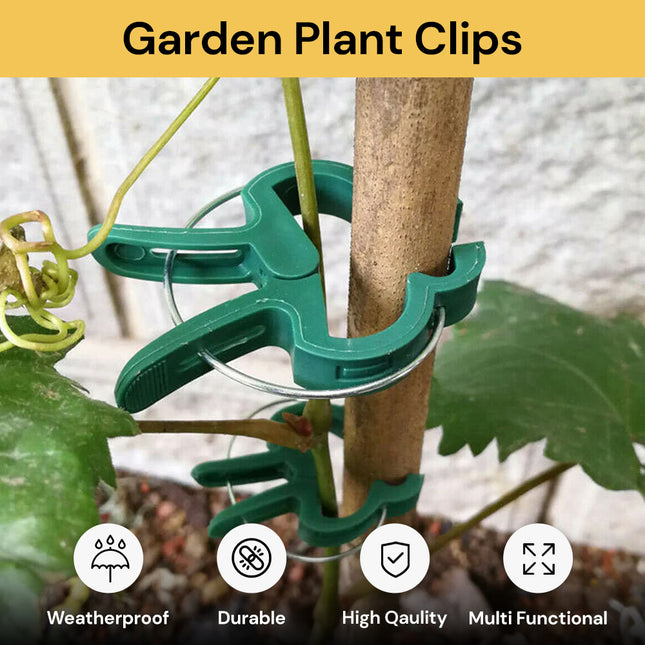 20Pcs Garden Plant Clips PlantClips01