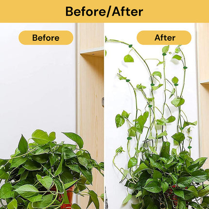 10PCs Plant Clips With Adhesive Sticker