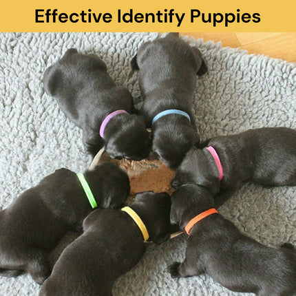 Puppy ID Collars