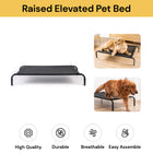 Raised Elevated Pet Bed