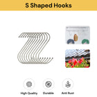 10PCs S Shaped Hooks