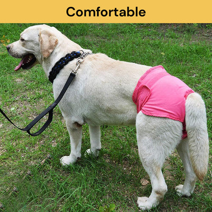 Reusable Dog Sanitary Pant