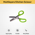Multi-Layers Kitchen Scissor