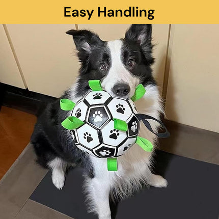 Interactive Dog Soccer Ball Toy