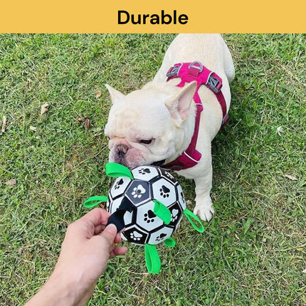 Interactive Dog Soccer Ball Toy