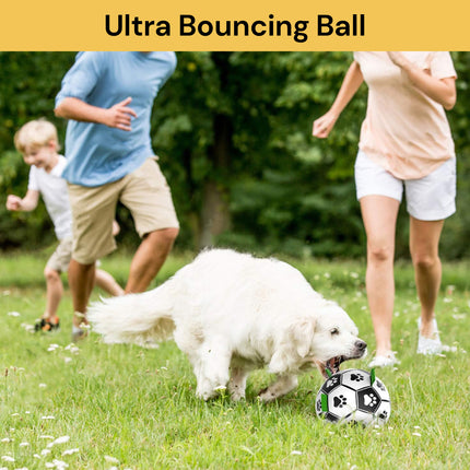 Interactive Dog Soccer Ball Toy