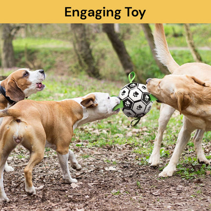 Interactive Dog Soccer Ball Toy