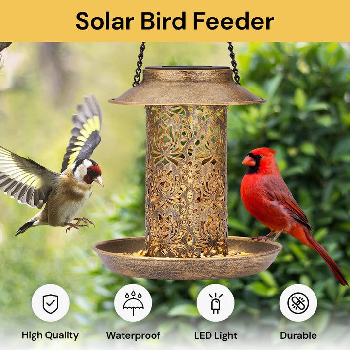 Solar Bird Feeder EcoFriendly Design ezonedeal