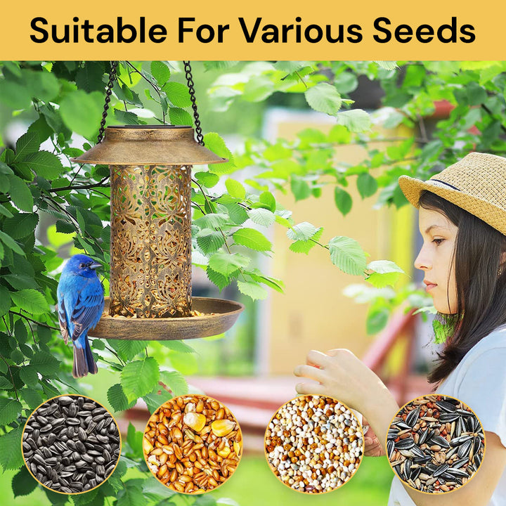 Solar Bird Feeder EcoFriendly Design ezonedeal