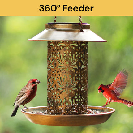 Solar Bird Feeder SolarBirdFeeder10