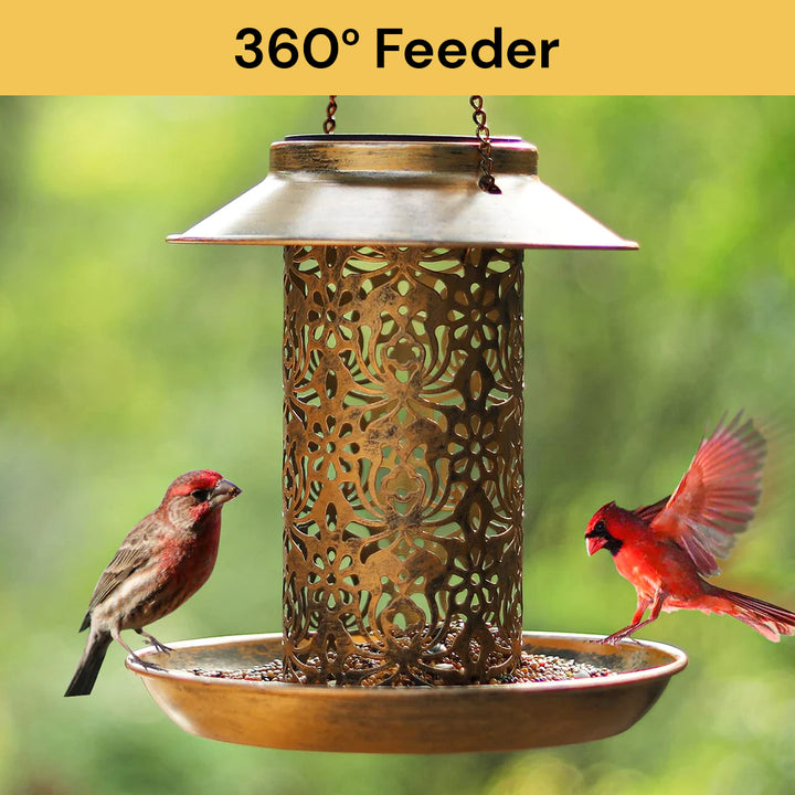 Solar Bird Feeder EcoFriendly Design ezonedeal