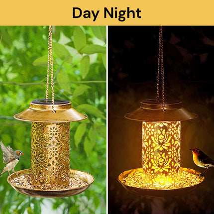 Solar Bird Feeder SolarBirdFeeder11