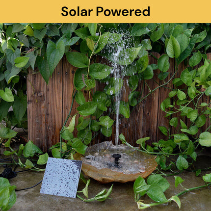 Solar Pond/Fountain Water Pump