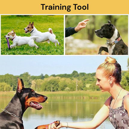 2 in 1 Dog Clicker Whistle - Training Tool