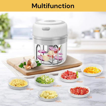 USB Rechargeable Mini Veggie Chopper