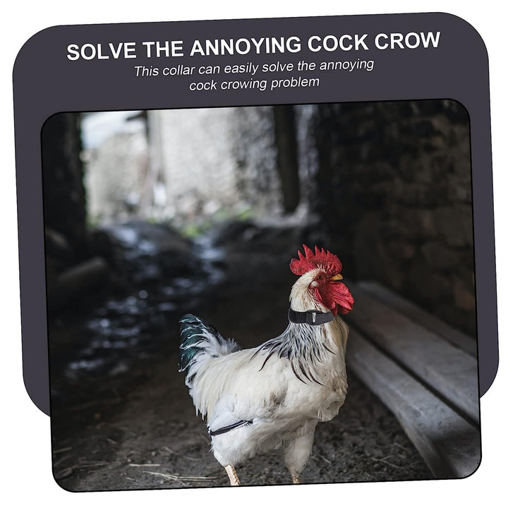 Anti Crow Collar for Roosters 10Pcs No Crow Belt ezonedeal