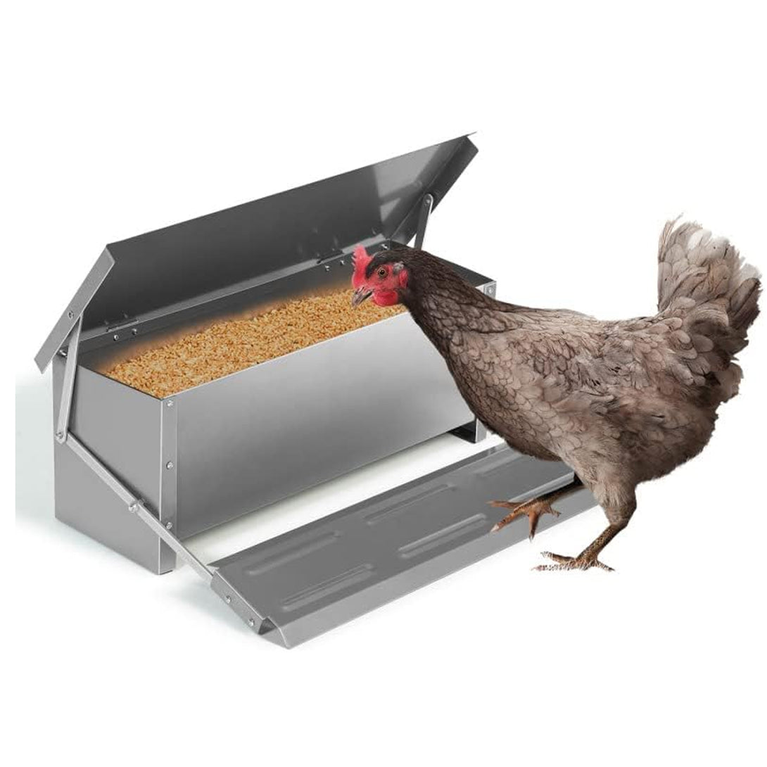 Galvanized Automatic Chicken Food Feeder Large Capacity, SelfOpenin