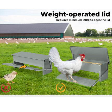 Galvanized Automatic Chicken Food Feeder - Large Capacity, Self-Opening