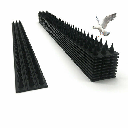 Bird Spikes