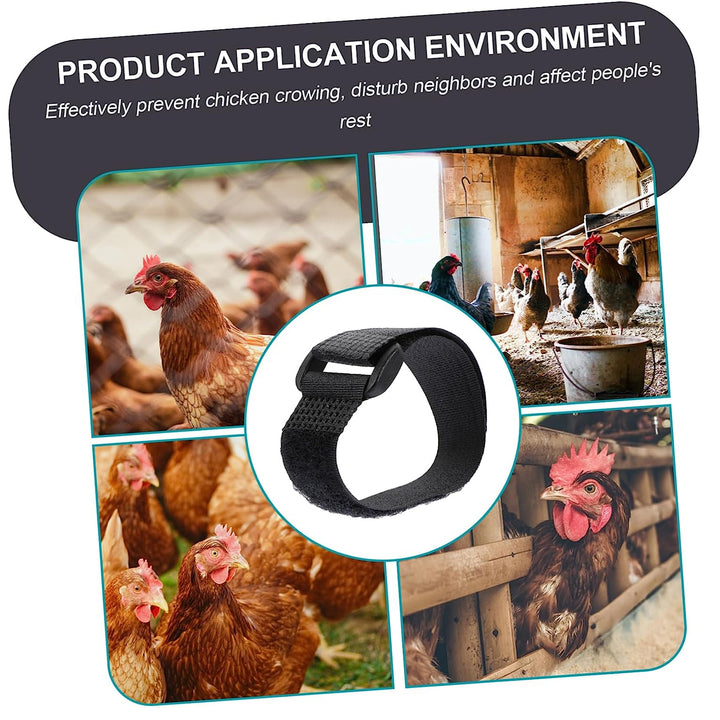 Anti Crow Collar for Roosters 10Pcs No Crow Belt ezonedeal