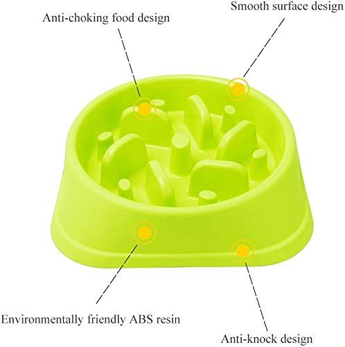 Dog Food Slow Feeder Puzzle Bowl