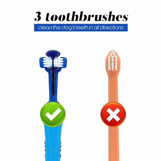 Pet Toothbrush