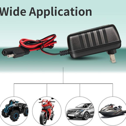 6V 12V Trickle Battery Charger 5_bd0d3bfa-8cb9-418e-8f69-df99eda44ab0