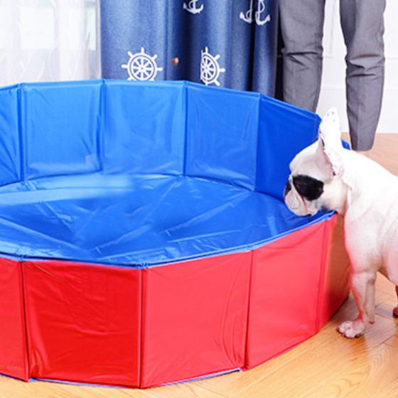 Pet Dog Swimming Pool