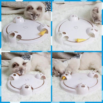 Toy Mouse Track Interactive Cat Toy with Rotating Mouse Track