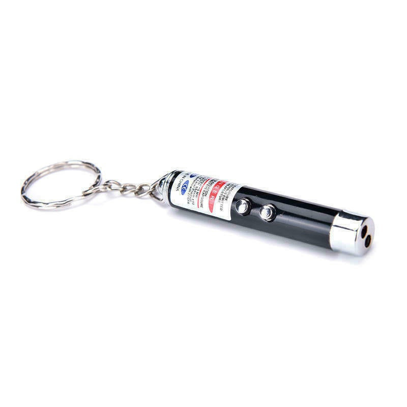 Pet Laser Light Pointer Torch Pen
